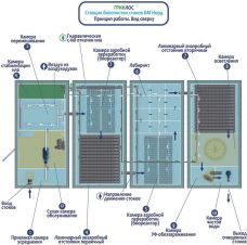 Гринлос БМ Норд 500